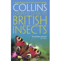 Complete Guide to British Insects