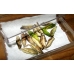 Plastic Box Size 4 Medium Flat. Carton of 9 Plastic Box Size 4 Medium Flat. Carton of 9
