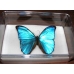 Plastic Box Size 5 Large. Pack of 2