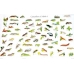 CHART Caterpillars of British Moths 1 and 2