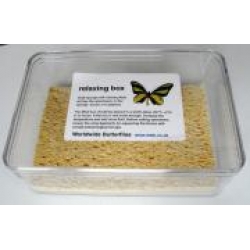 E - RELAXING BOX