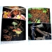 Silkmoth Rearer's Handbook SPECIAL PRICE Silkmoth Rearer's Handbook SPECIAL PRICE