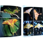 Silkmoth Rearer's Handbook SPECIAL PRICE