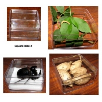 Plastic Box Square Size 2. Carton of 14