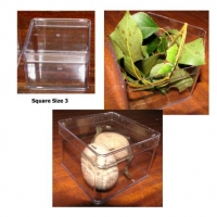 Plastic Box Square Size 3. Carton of 10