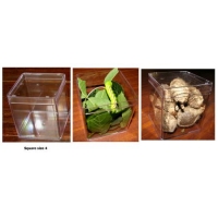 Plastic Box Square (CUBE) Size 4. Carton of 6