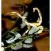 Macleay's Spectre (Prickly Stick Insect) tiaratum FOUR nymphs