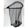 CHILDREN'S FIELD STUDY NET