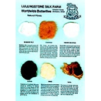 F - FIBRE SAMPLE CARD