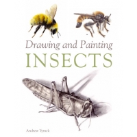 Drawing and Painting Insects Drawing and Painting Insects