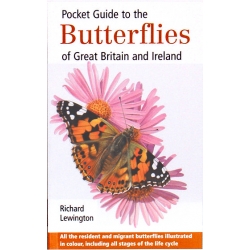 Pocket Guide to the BUTTERFLIES of Great Britain & Ireland, Richard Lewington