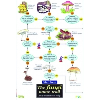 The Fungi Name Trail, a laminated fold-out chart