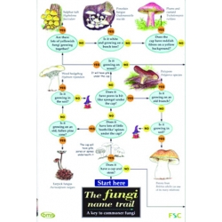 The Fungi Name Trail, a laminated fold-out chart