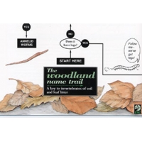 The Woodland Name Trail