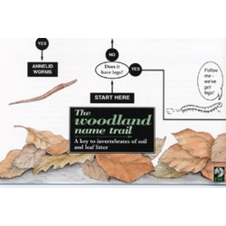 The Woodland Name Trail