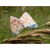 Common Blue icarus 15 eggs or 10 larvae according to availability