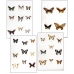 Collection N SWALLOWTAILS OF THE WORLD