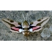 Spurge Hawk H euphorbiae pupae